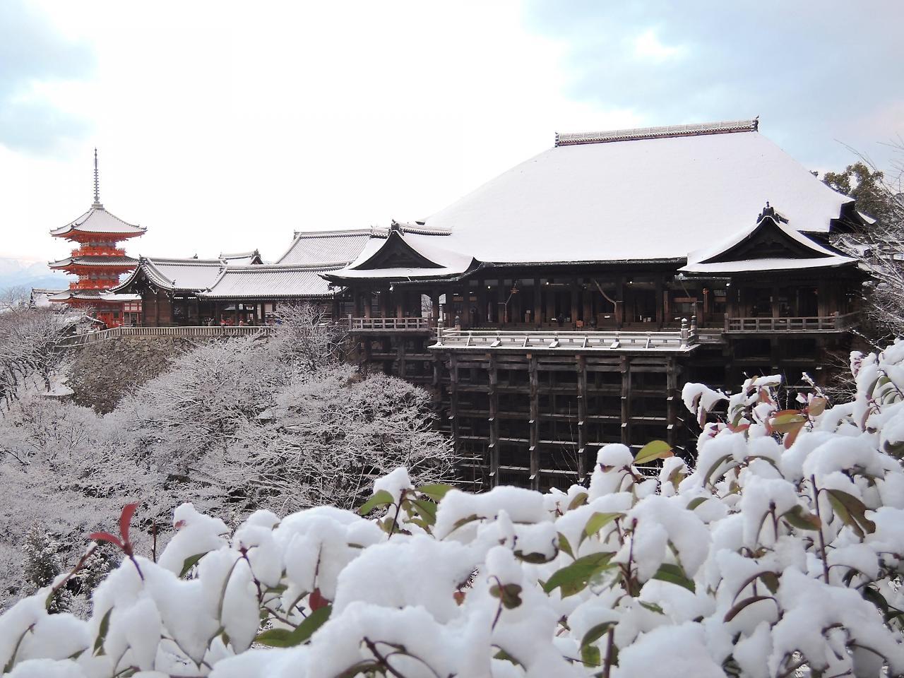 Stay Sakura Kyoto Shijo Karasuma Экстерьер фото