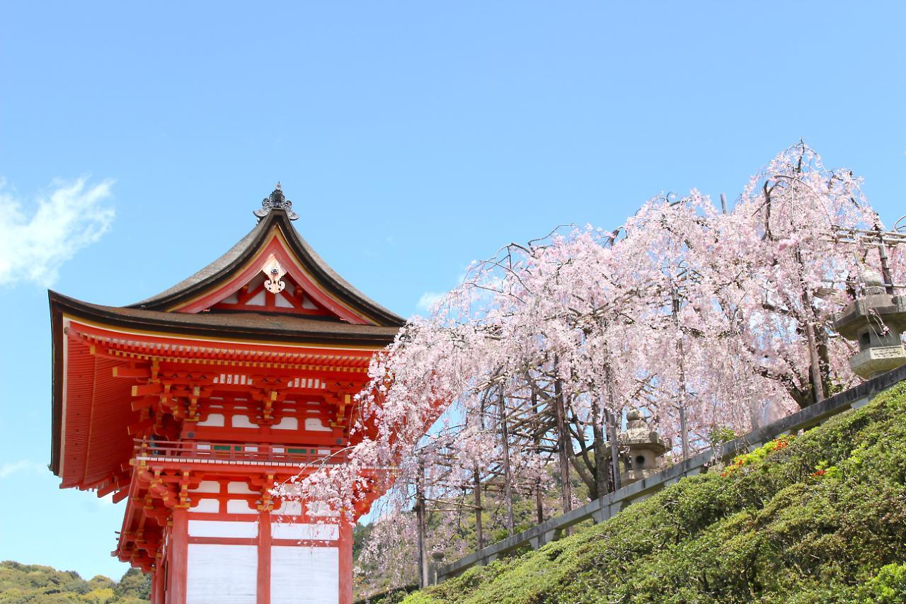 Stay Sakura Kyoto Shijo Karasuma Экстерьер фото