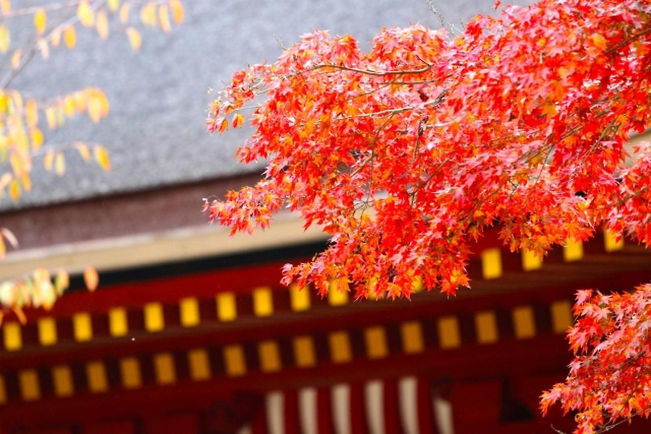 Stay Sakura Kyoto Shijo Karasuma Экстерьер фото